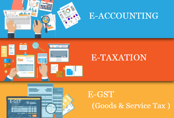 Best Accounting Course in Delhi, “Learn Direct