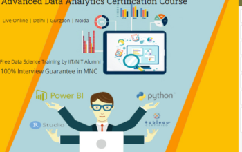 Data Analyst Course in Delhi, 110091.