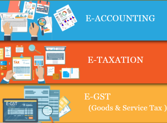 Job Oriented Accounting Course in Delhi, 110028,