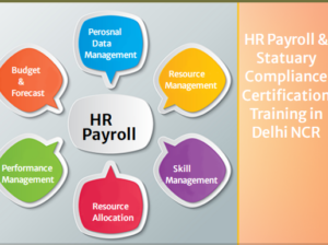 HR Payroll Course in Laxmi Nagar, Delhi, “New Year