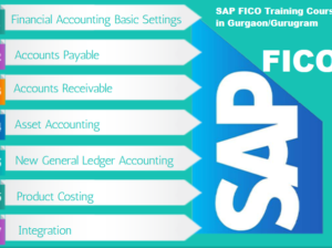 SAP FICO Hana Course in Laxmi Nagar, Delhi, “Best